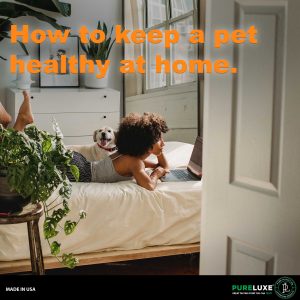 healthy-at-home-graphic